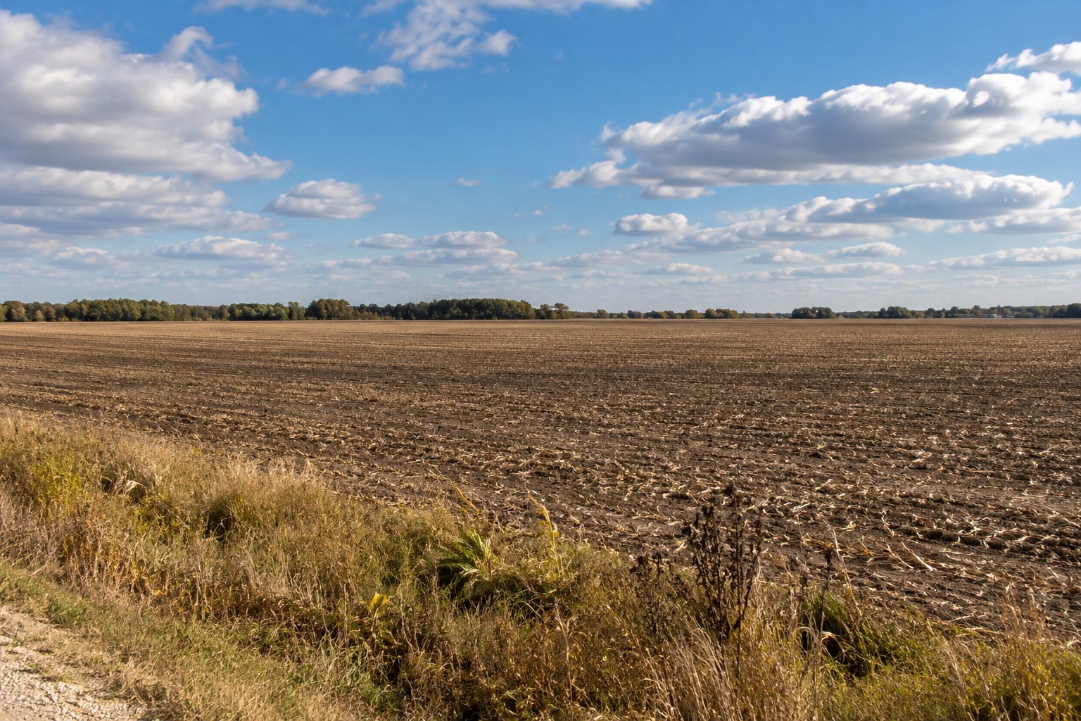 Trump Says $15 Billion Iowa Steel Plant Is Already Being Built. Local Officials Say Otherwise. — article image